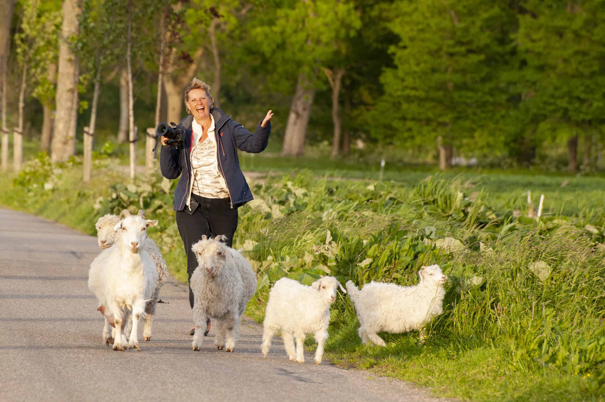 Onze fotografen vertellen - Yolanda tussen de schapen
