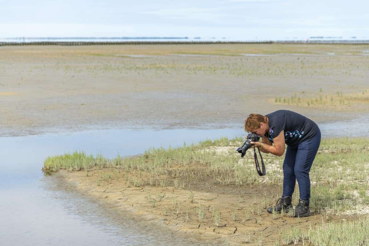 Fotoweekend Groninger Waddenkust - Tineke in de Emmapolder