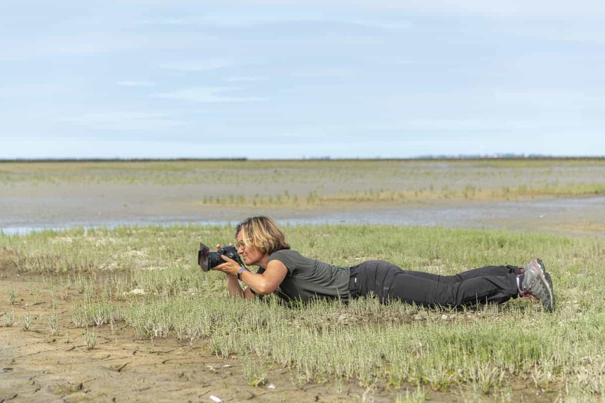 Fotoweekend Groninger Waddenkust - Marphy in de Emmapolder