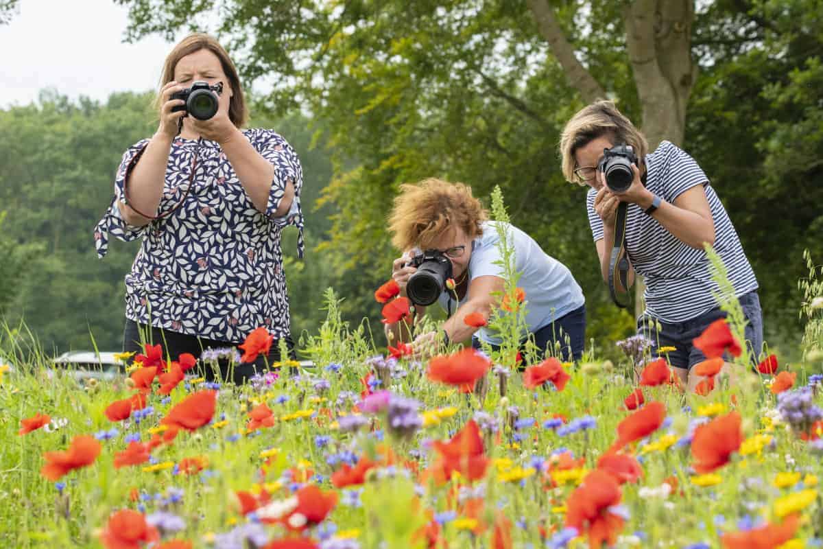 Fotoweekend Groninger Waddenkust - Inge, Lien en Marphy in het bloemenveld Fotoweekend Groninger Waddenkust - Inge, Lien en Marphy in het bloemenveld