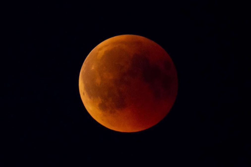 Bloedmaan