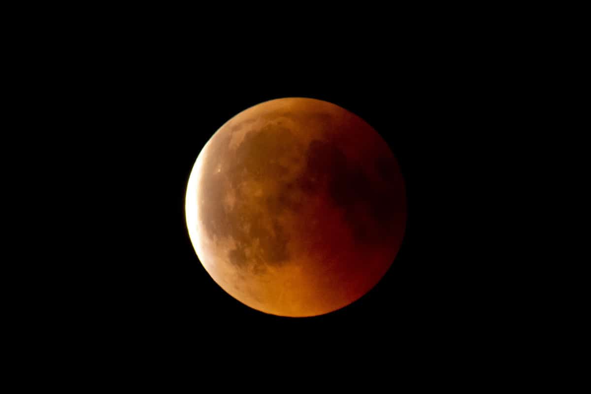 Bloedmaan met witte rand Bloedmaan met witte rand