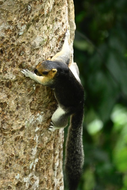Fotoreis Borneo Fotoreis Borneo