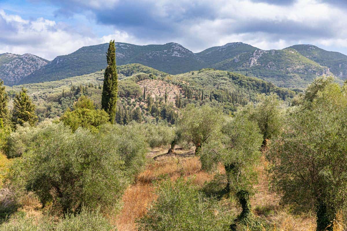 Natuurwandeling Dronereis Corfu Dronereis Corfu