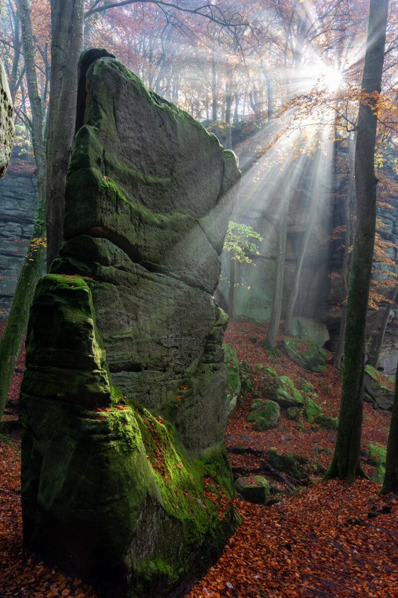 Mullerthall Fotoreis Luxemburg