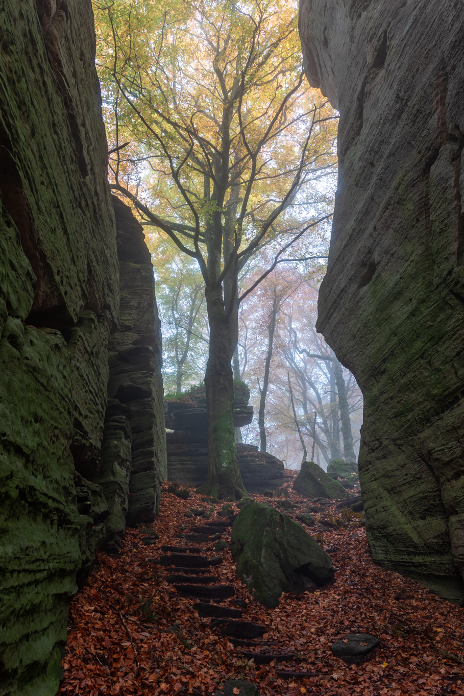 Luxemburg Fotoreis Zwitserland