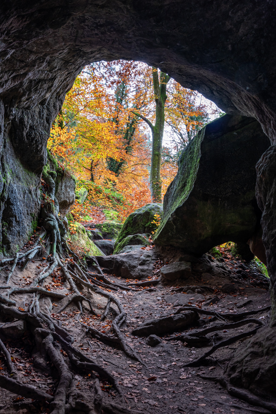 Hohllay Cave Foto Luxemburg