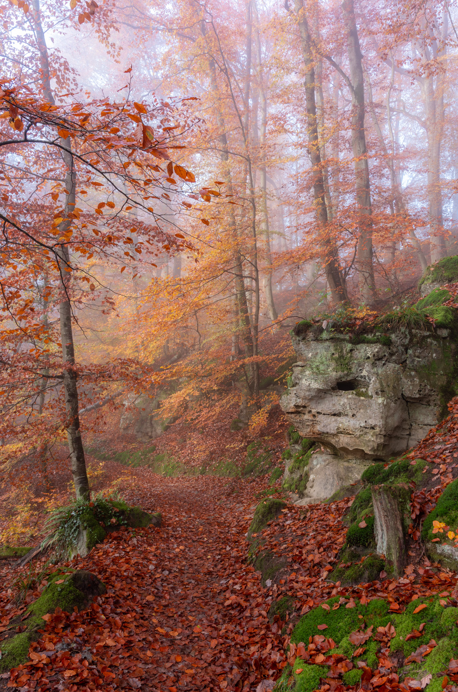 Fotowandeling Fotoreis Luxemburg