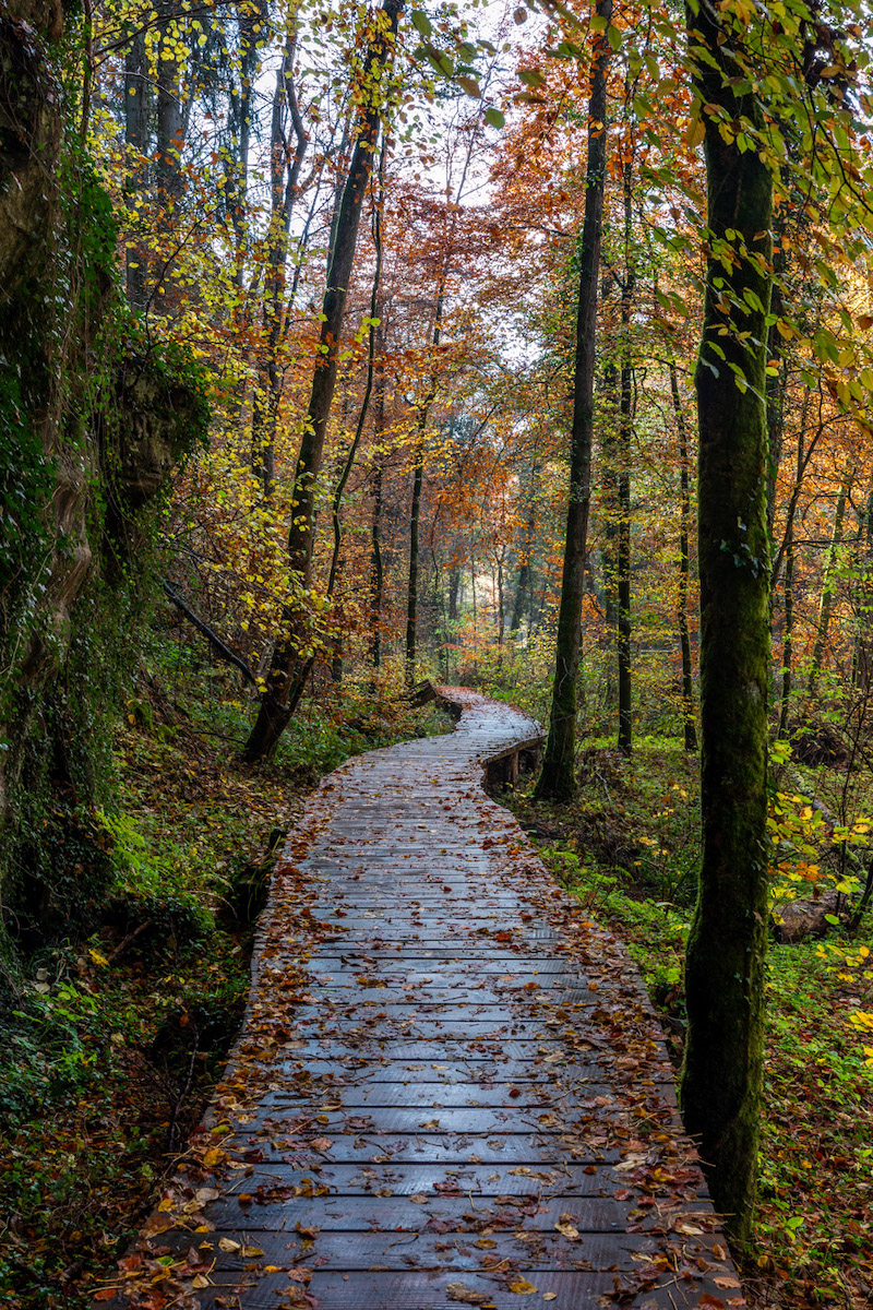 Fotowandeling Fotoreis Zwitserland