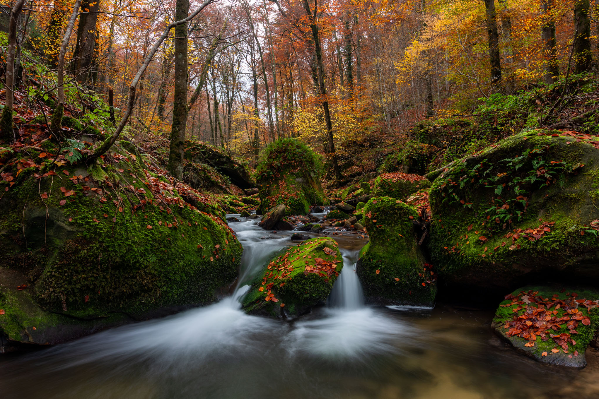 Halerbaach rivier Fotografie reizen Benelux