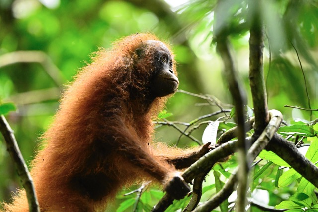 Fotoreis Borneo Fotoreis Borneo