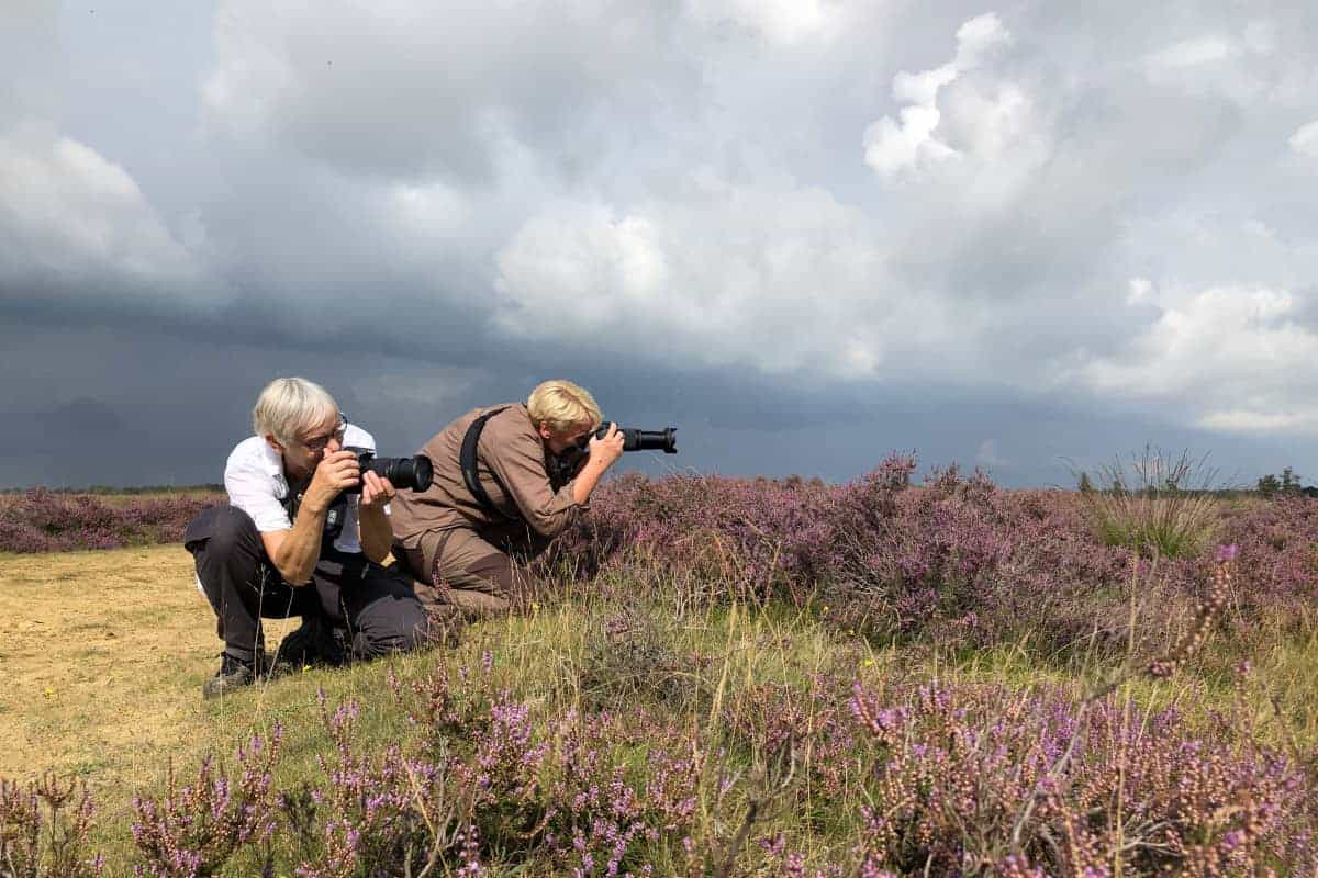 Deelnemers fotograferen de paarse heide tijdens fotoweekend Drenthe