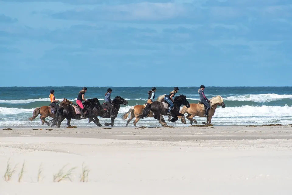 Dronereis Terschelling paarden op het strand