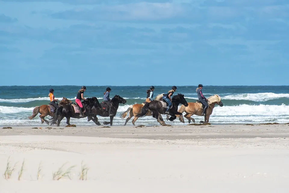 Dronecursus Terschelling 25 Dronereis Terschelling paarden op het strand