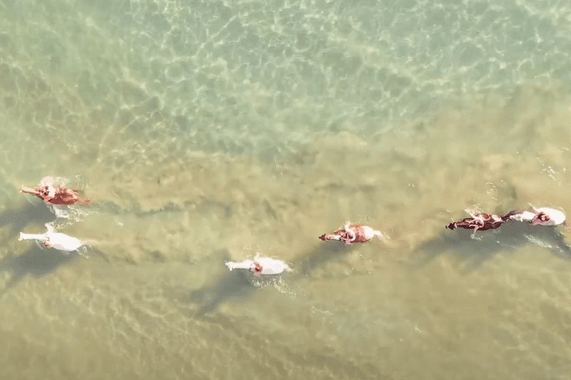 Zee Dronereis Corfu Dronereis Corfu