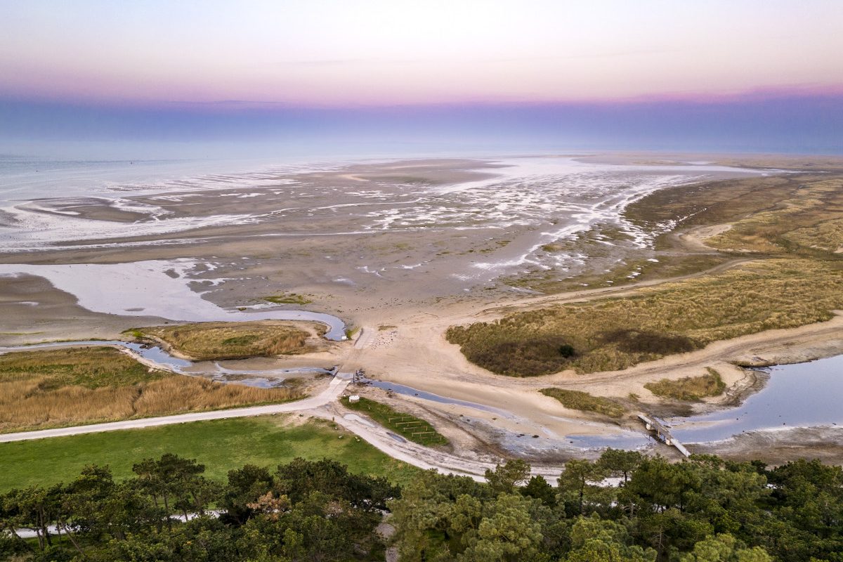 Dronereis Terschelling dronecursus 41 Dronereis Terschelling dronecursus