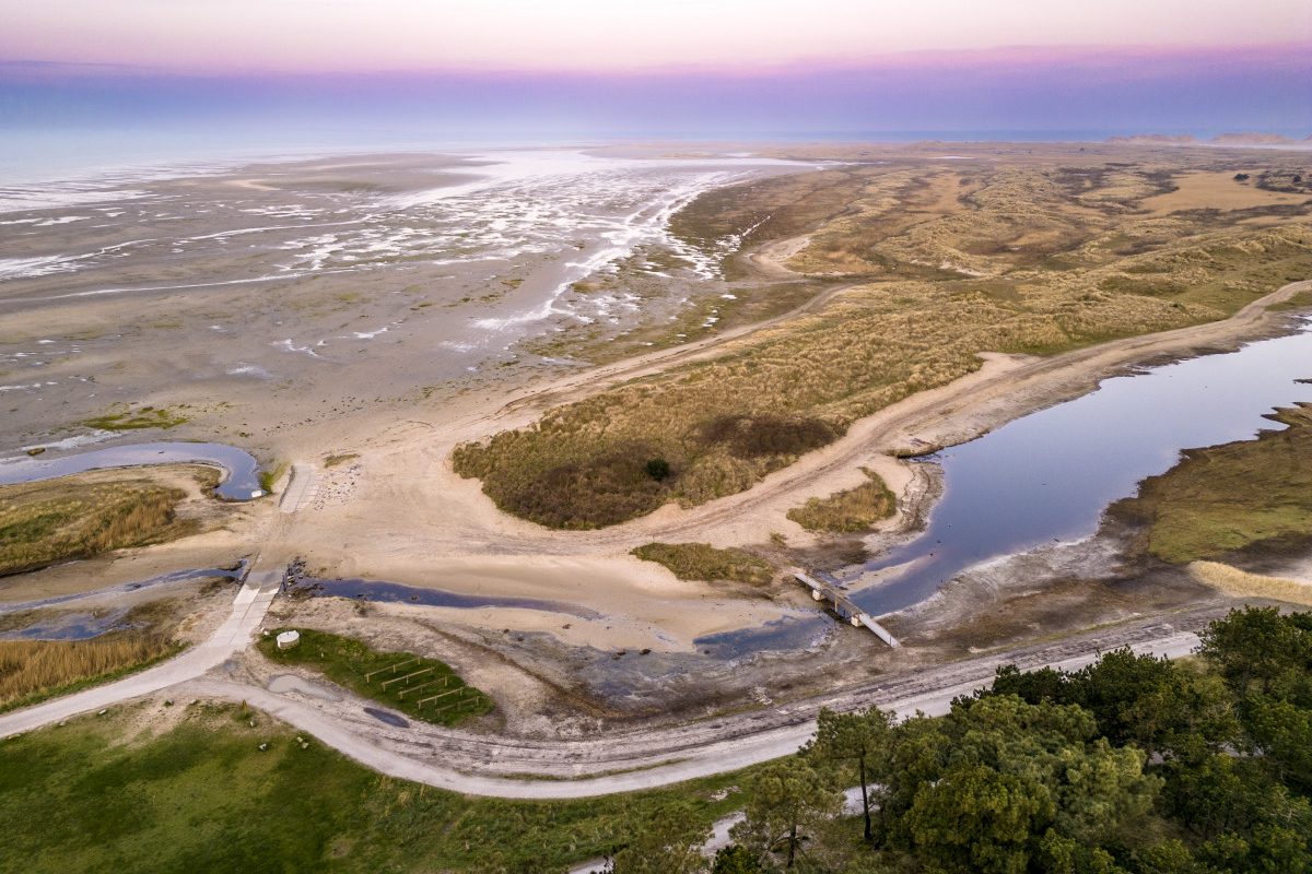 Dronereis Terschelling dronecursus 43 Dronereis Terschelling dronecursus