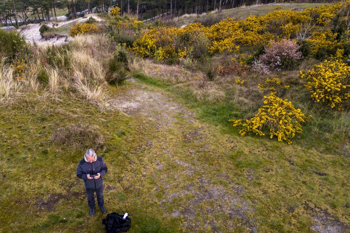 Dronereis Terschelling dronecursus 47 Dronereis Terschelling dronecursus