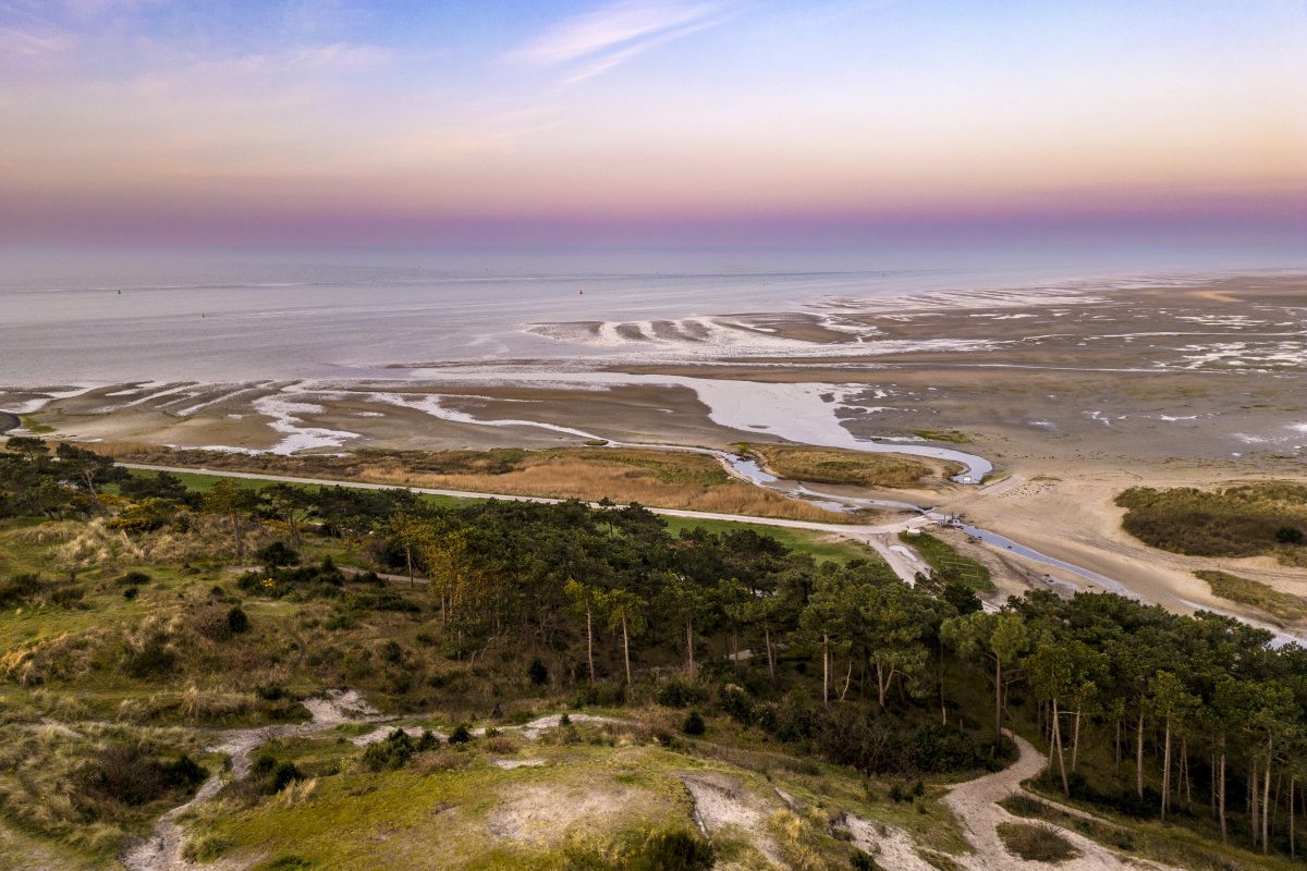 Dronereis Terschelling dronecursus 50 Dronereis Terschelling dronecursus