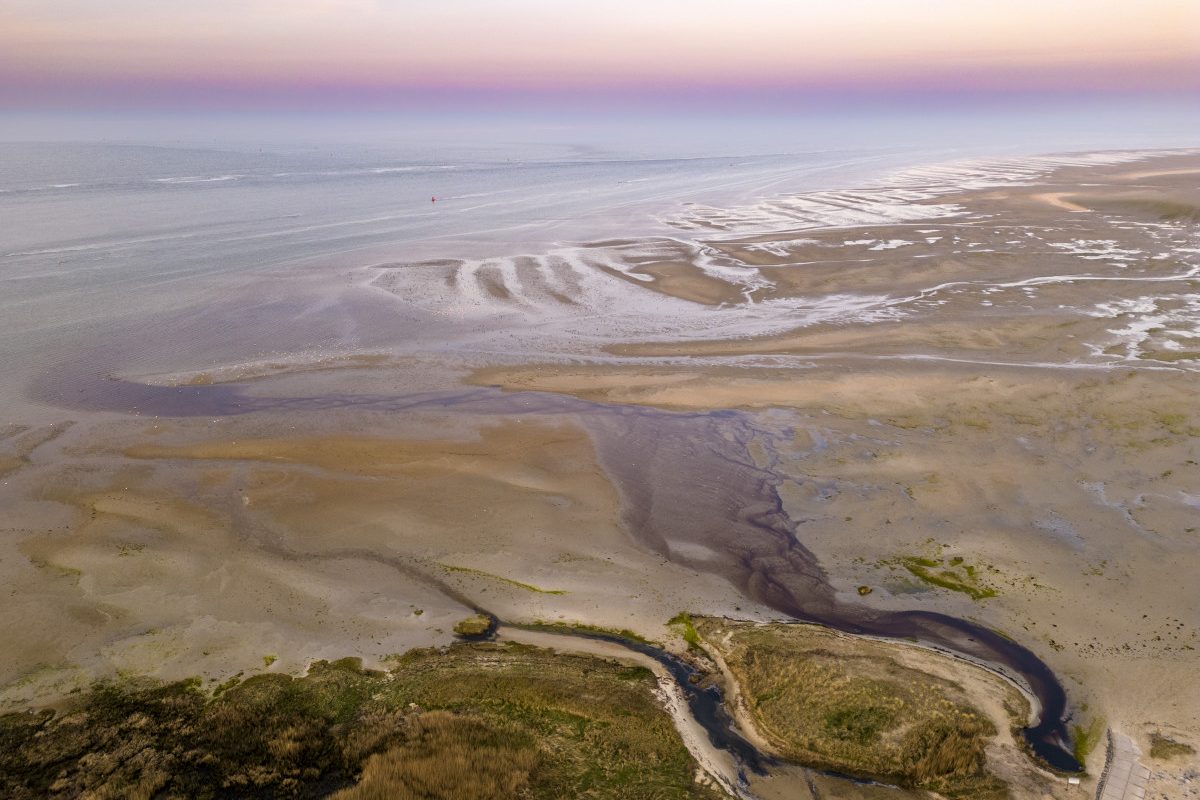 Dronereis Terschelling dronecursus 51 Dronereis Terschelling dronecursus