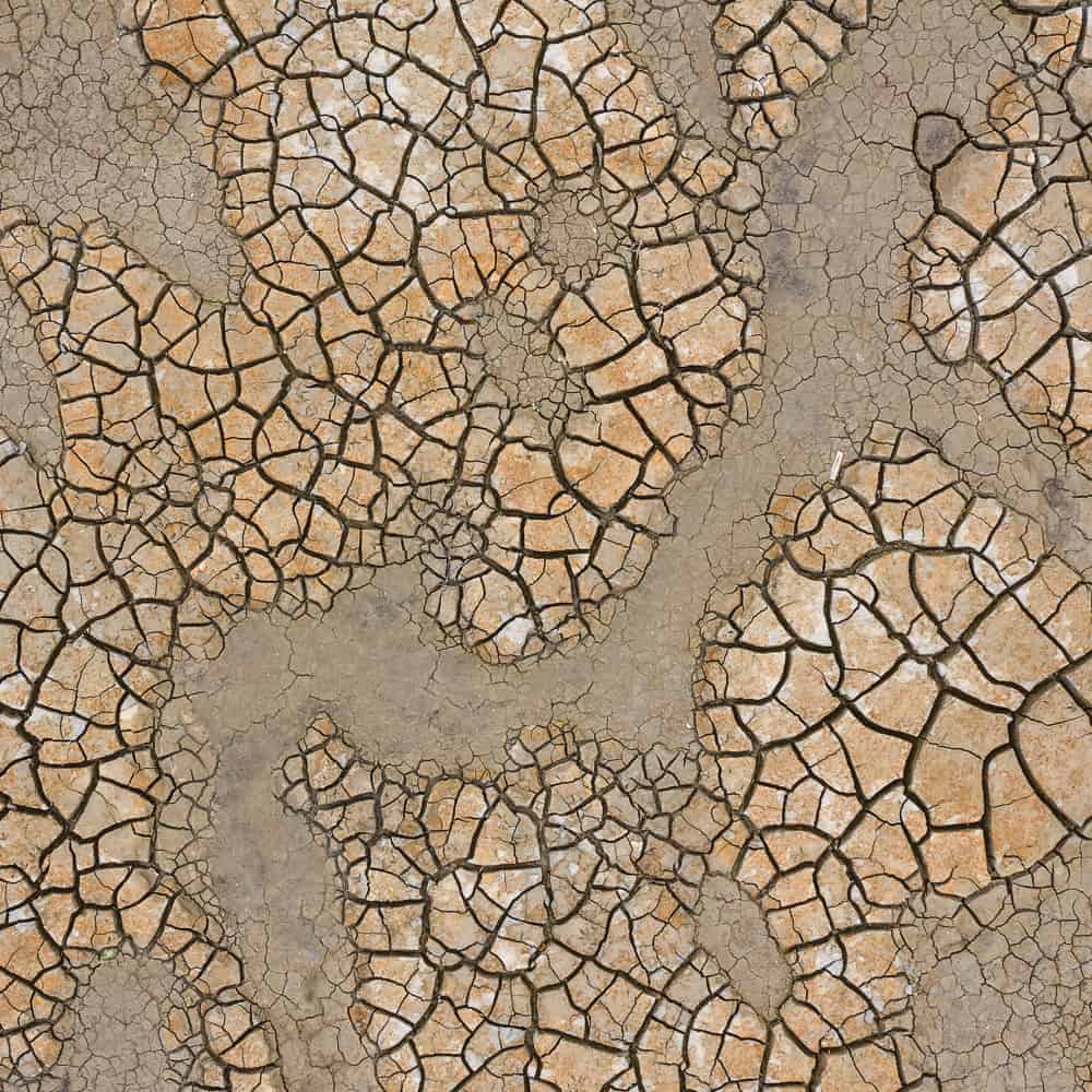 Fotografie cursus dronefotografie koehool wad structuur Fotografie cursus dronefotografie koehool wad structuur