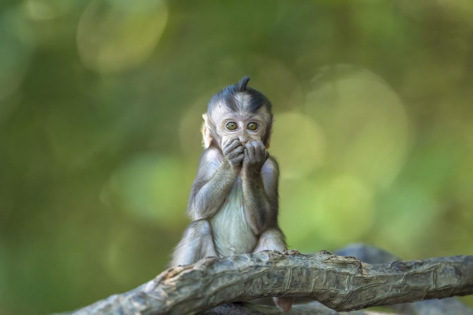Fotografie tips Wat is Focus Peaking