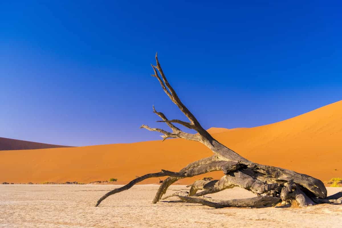 Fotografie tips geheugenkaartje Sossusvlei Fotografie tips geheugenkaartje Sossusvlei