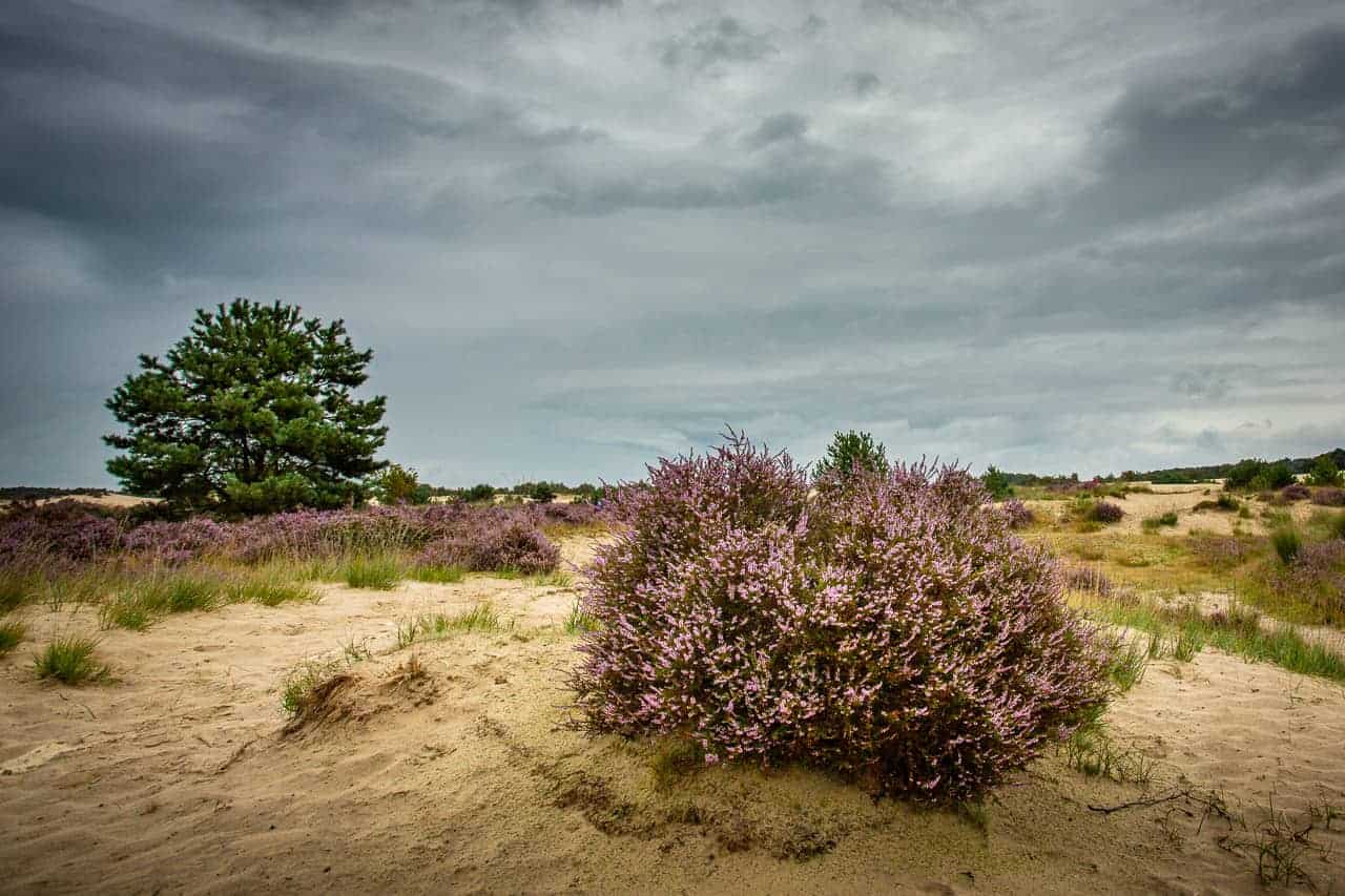 Prachtig landschap tijdens fotografie weekend Brabant