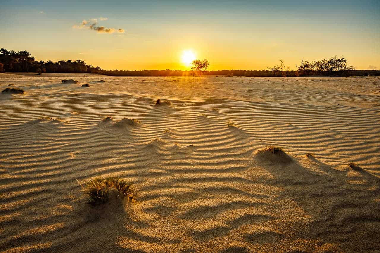 Fotografie weekend Brabant Loonense Duinen bij zonsopkomst