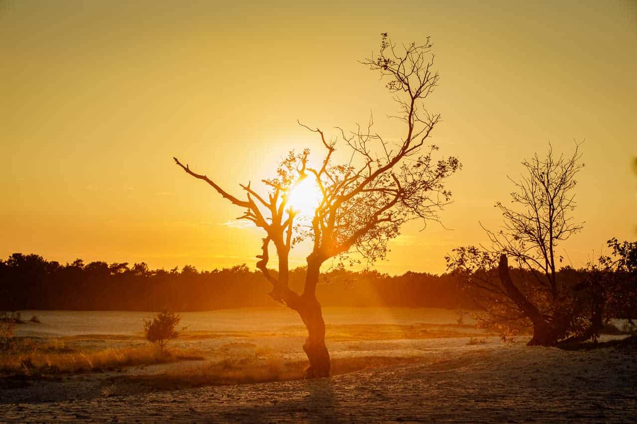 Sfeerfoto Fotografie weekend Brabant