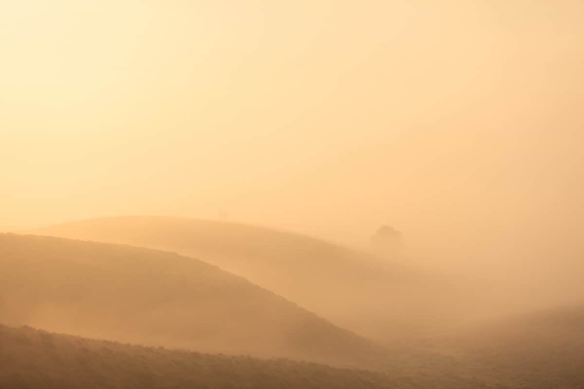 Fotografie weekend Veluwe Herfst Bas Meelker