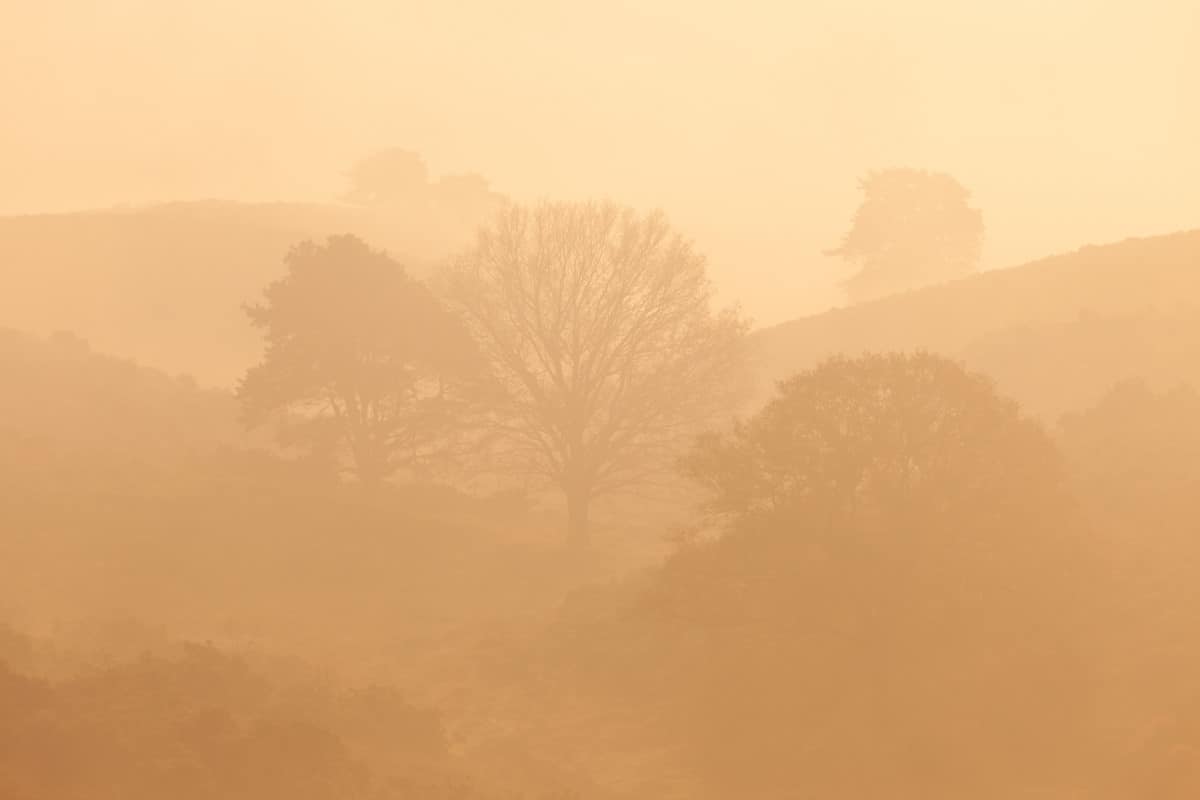 Fotografie weekend Veluwe Herfst Bas Meelker
