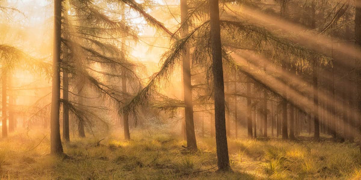 Fotografie weekend Veluwe Herfst 05Bas Meelker Fotografie weekend Veluwe Herfst Bas Meelker