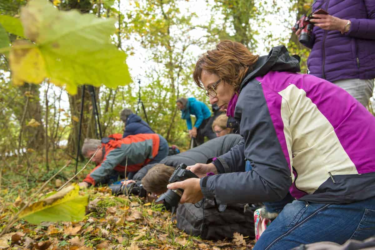 Fotografie weekend Veluwe Herfst