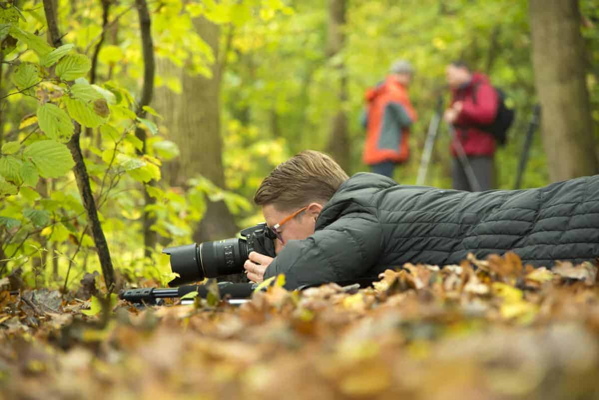 Fotografie-weekend-Veluwe-Herfst-4 Fotoreizen Veluwe