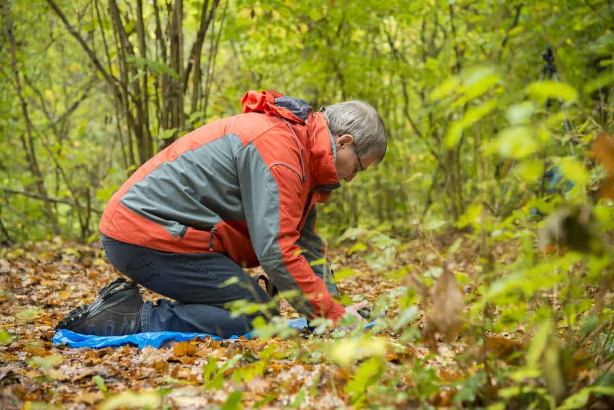 Fotografie weekend Veluwe Herfst
