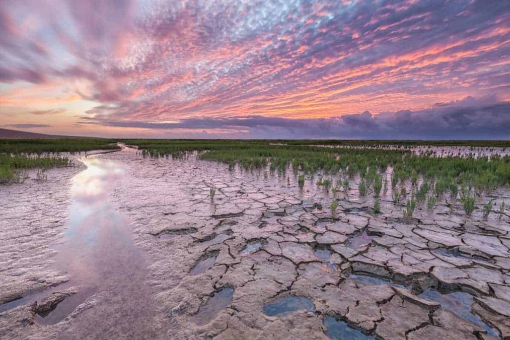 Fotografiereis Groninger Waddenkust sunset Emmapolder