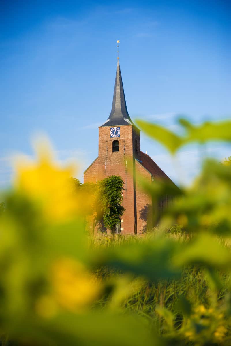 Kerkje Heveskes in de zonnebloemen Fotografiereis Groninger Waddenkust