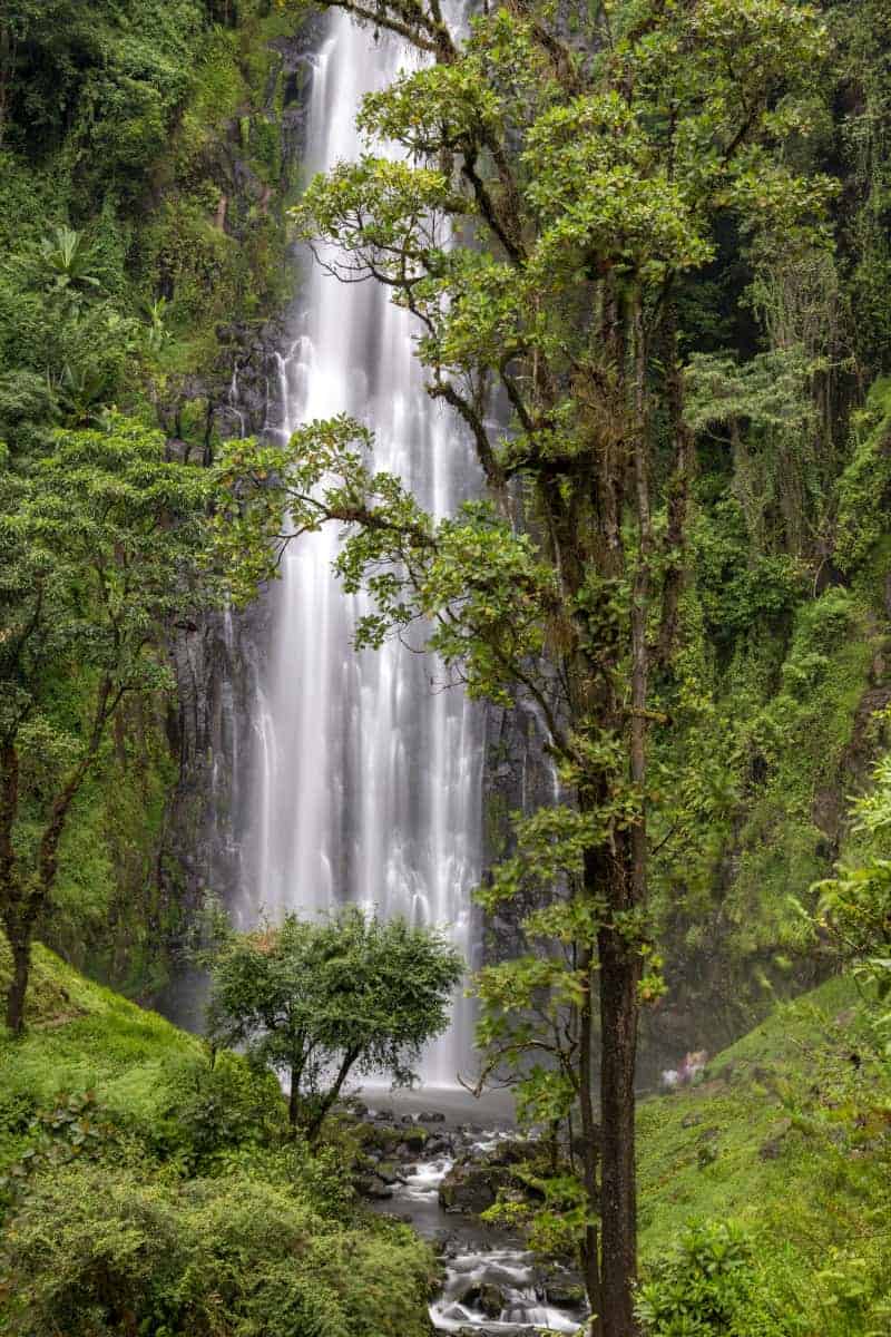 Fotoreis Afrika Lake Chala Same Tanzania 114 Fotoreis Afrika Kilimanjaro kameleon Tanzania