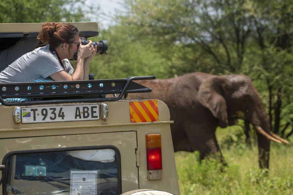 Fotoreis Afrika Tanzania 12 Deelnemer fotografeert olifant vanuit de Jeep tijdens fotosafari Tanzania