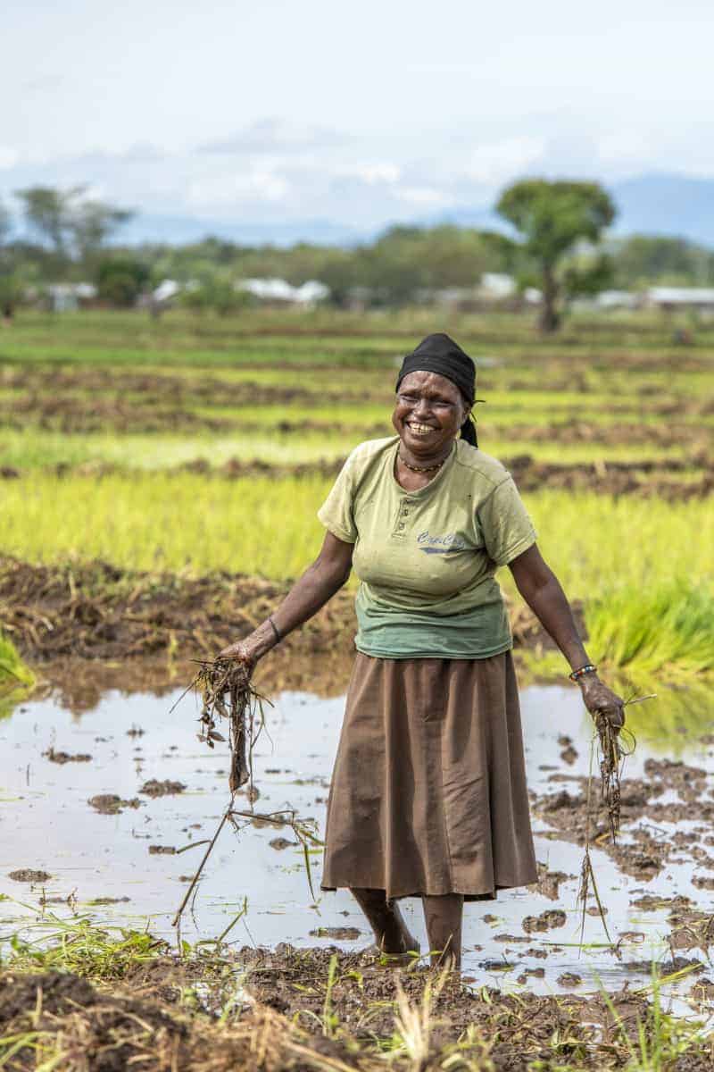 Fotoreis Afrika Tanzania 24 Werken op het veld Fotoreizen Afrika Tanzania