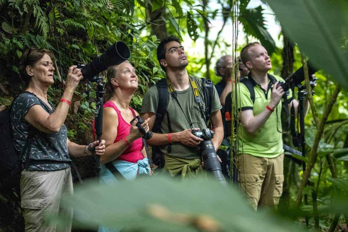 In de jungle tijdens de fotografiereis Costa Rica