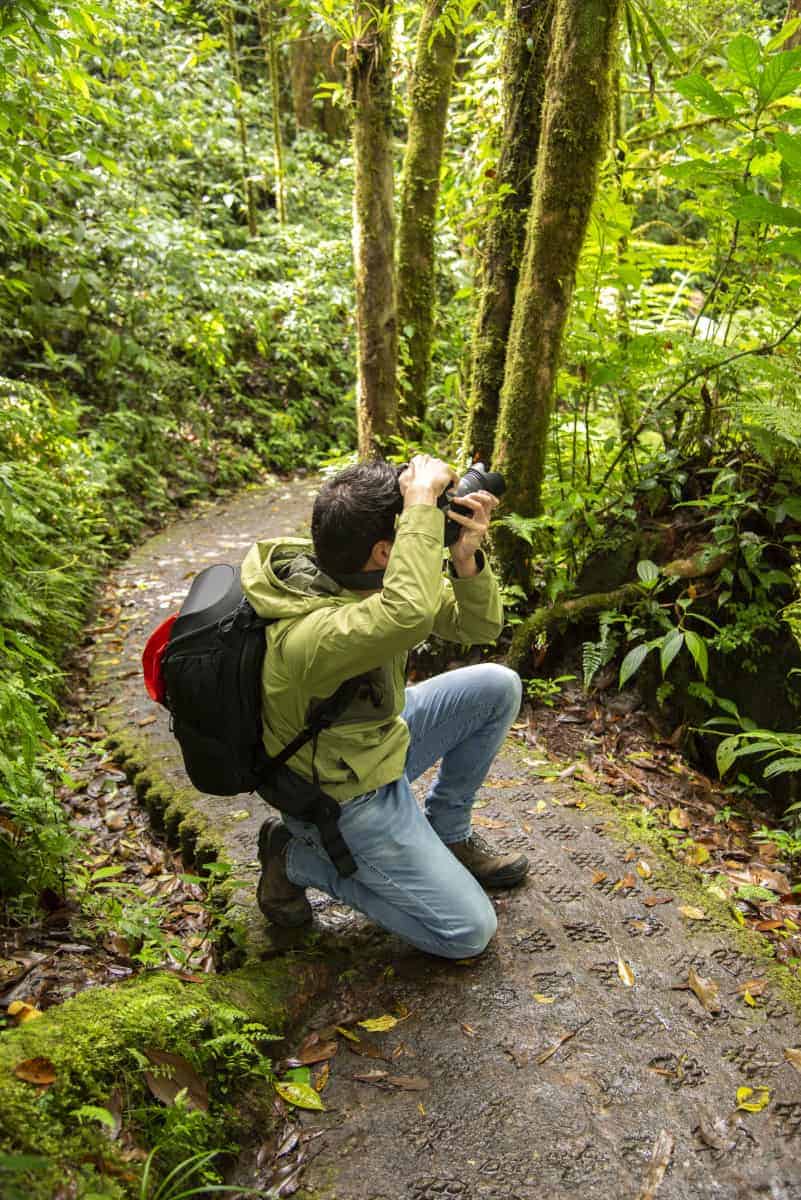 Selvatura Monteverde fotoreis Costa Rica. Selvatura Monteverde fotoreis Costa Rica.