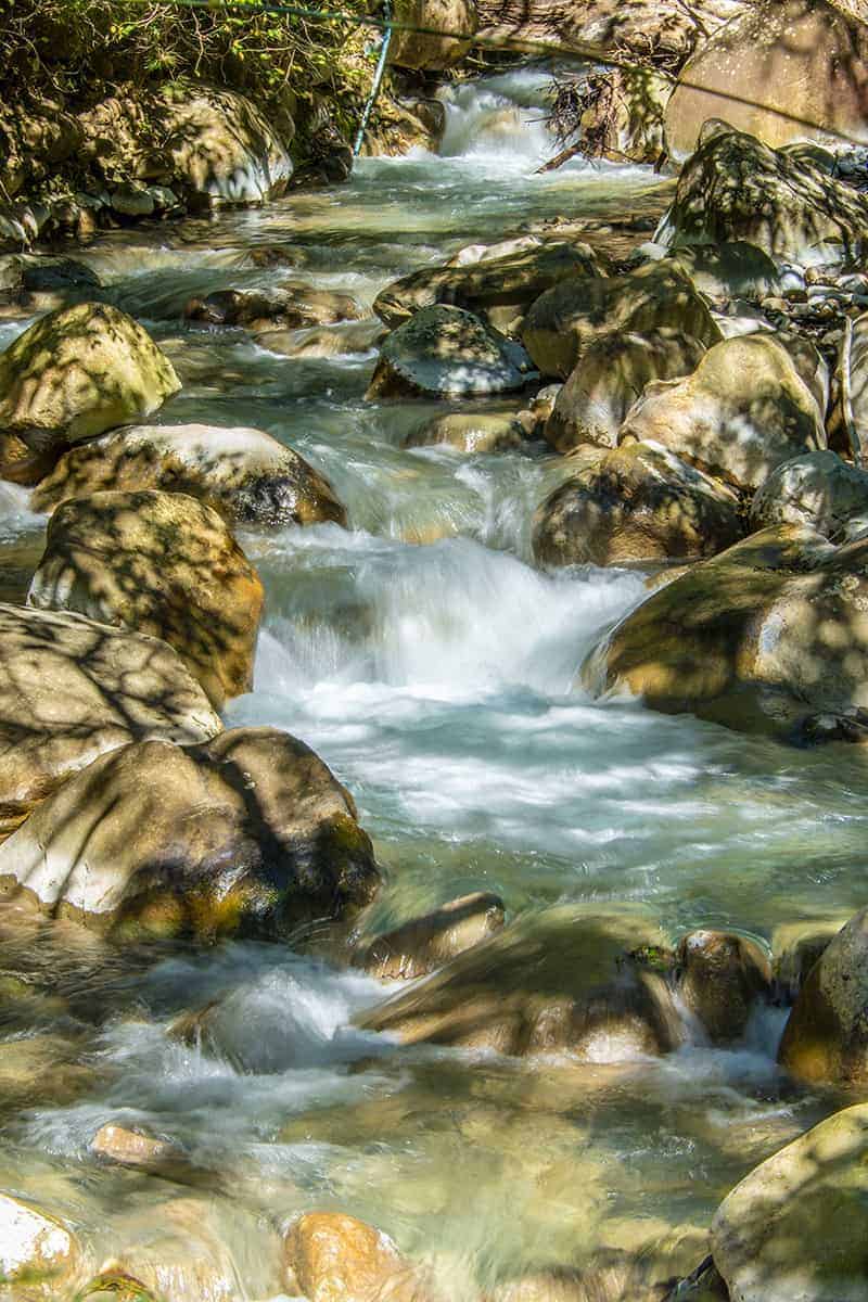 Fotografiereis Costa Rica beekje Fotografiereis Costa Rica beekje