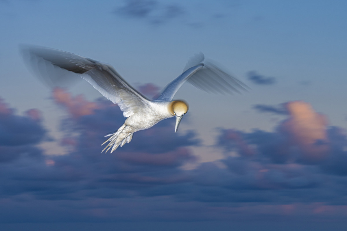 Fotoreis Helgoland Jan van Gent 3