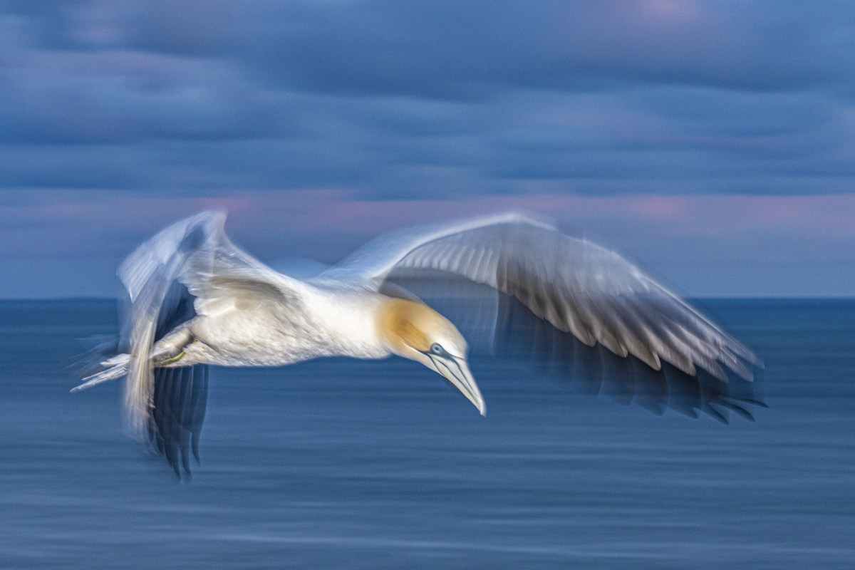 Fotoreis Helgoland Jan van Gent 4