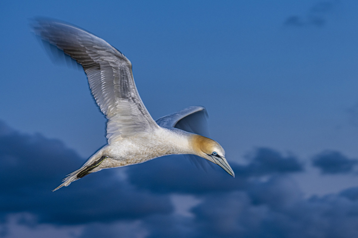 Fotoreis Helgoland Jan van Gent 9