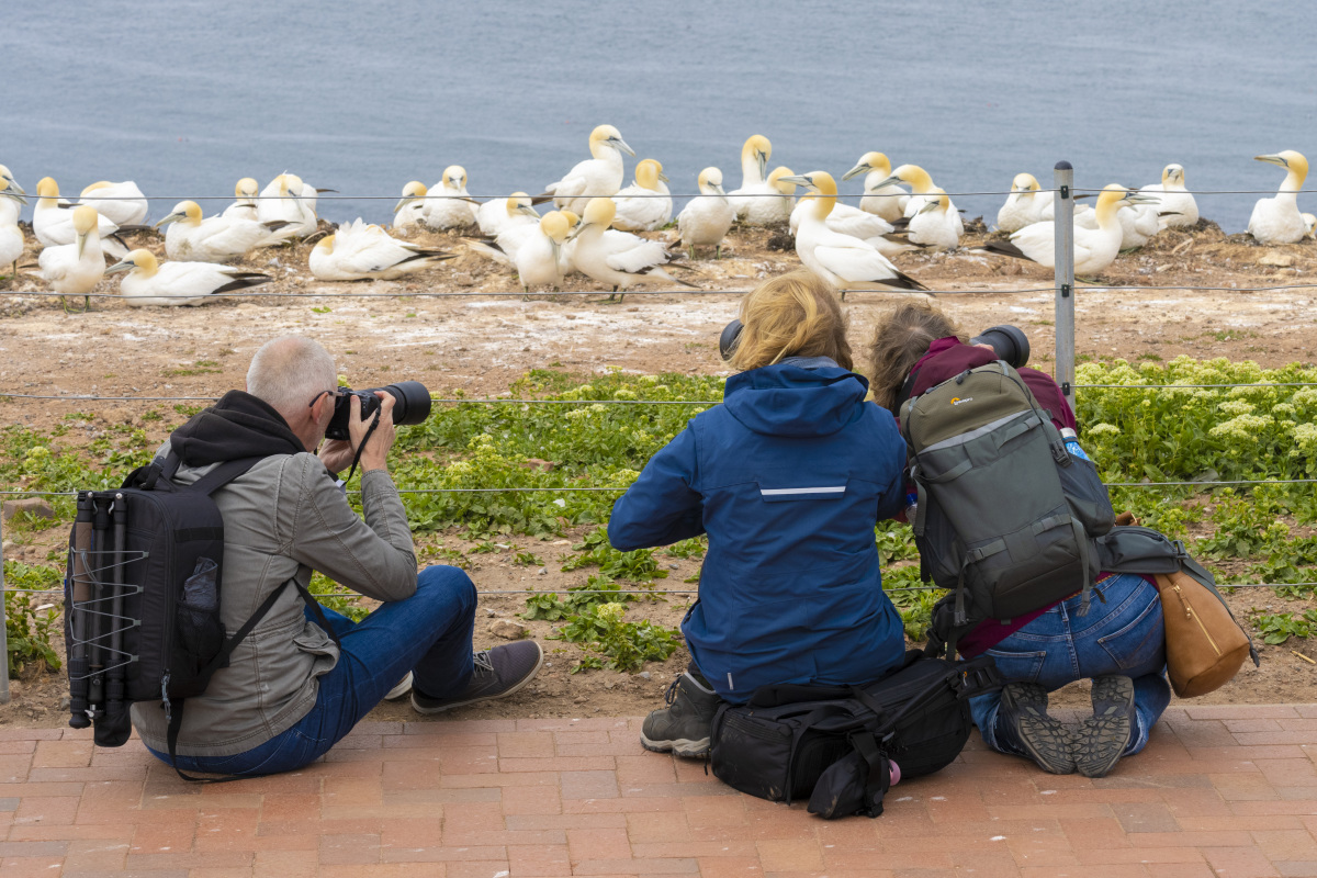 Fotoreis Helgoland Zomer deelnemers 50 Fotoreis Helgoland Zomer deelnemers