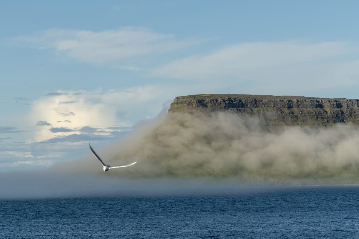 Berg in de wolken tijdens Fotografie reizen IJsland Westfjorden en Snaefellsness