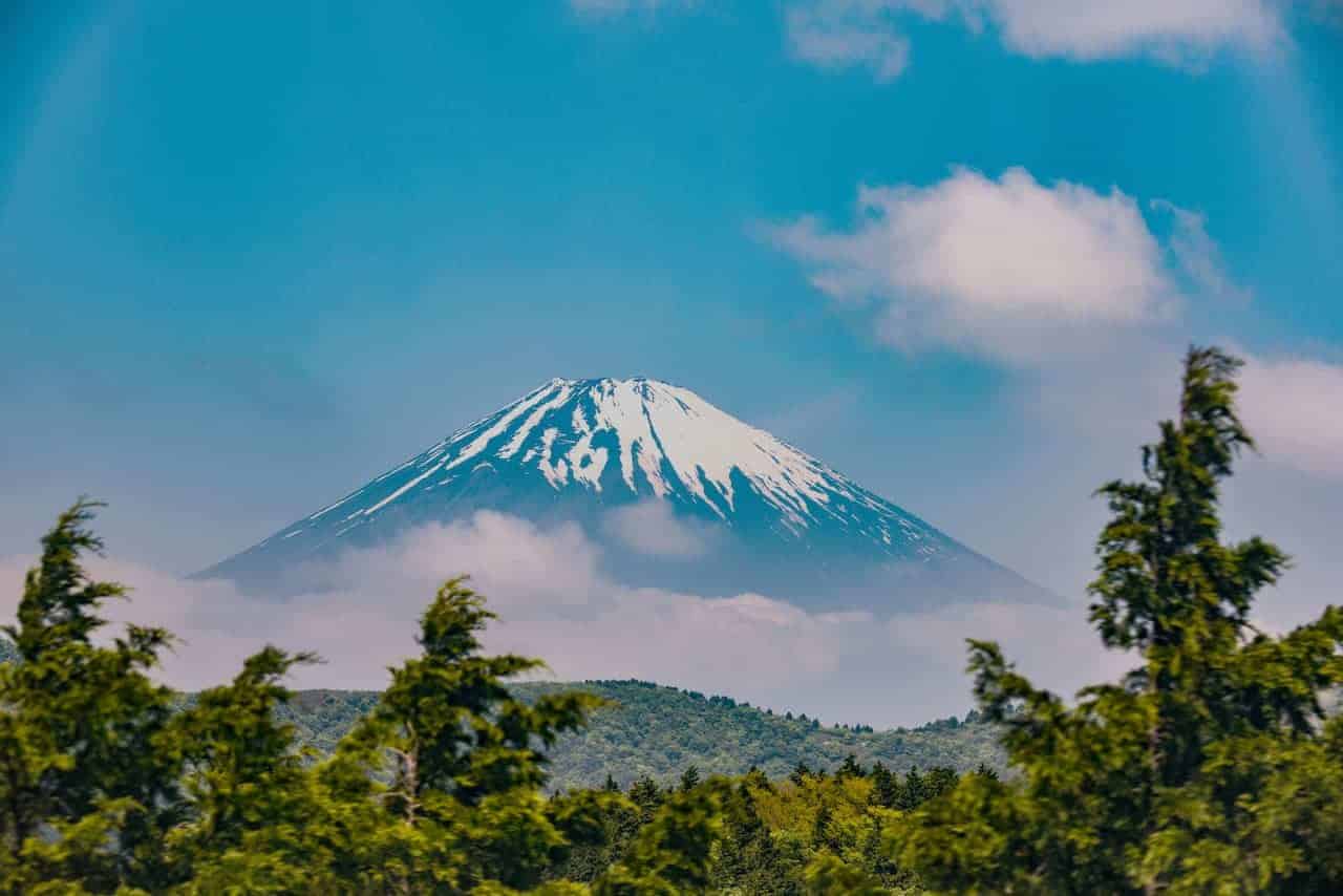 Fotoreis Japan Fiji door bomen Fiji door de bomen gefotografeerd